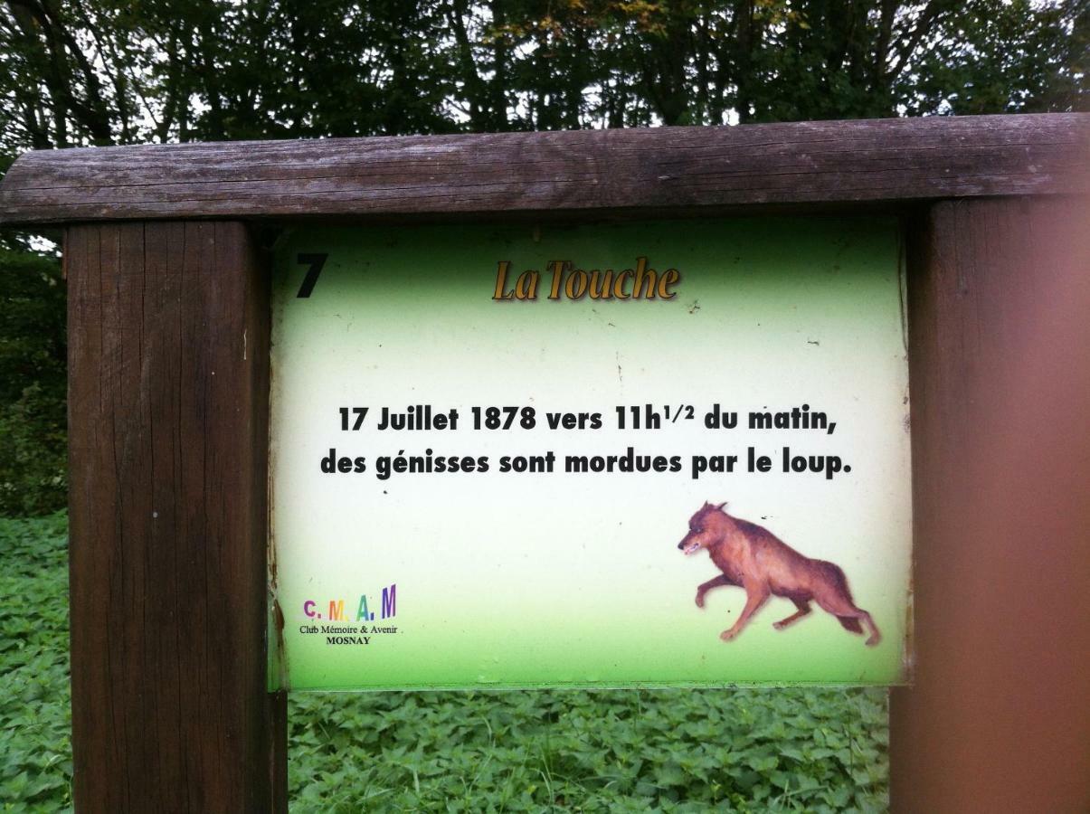 Domaine De La Touche Mosnay Panzió Kültér fotó